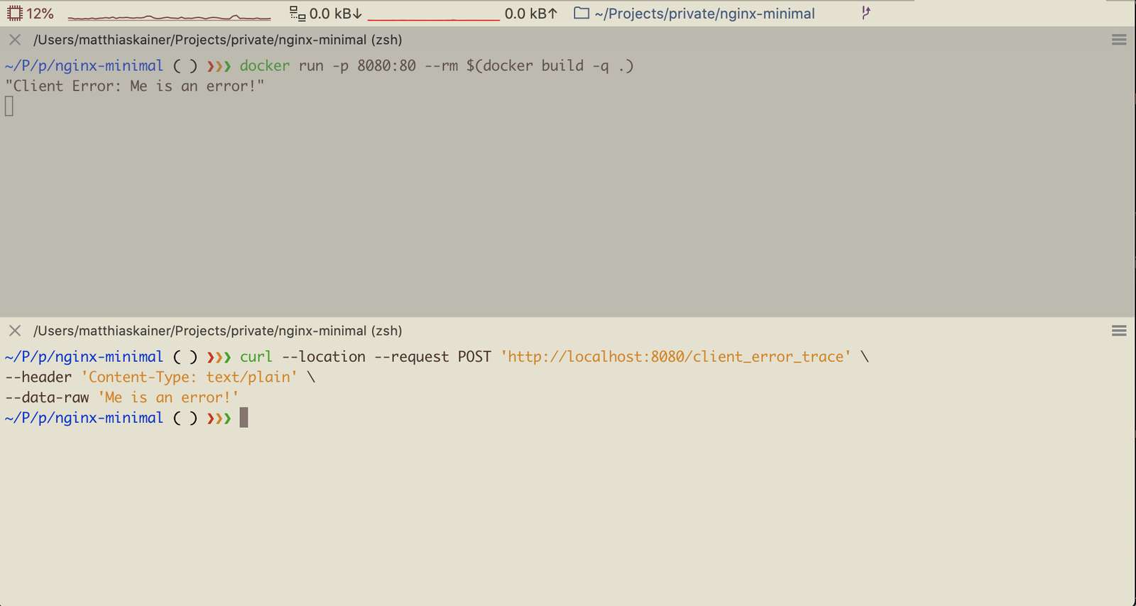 Logging the body as error in nginx