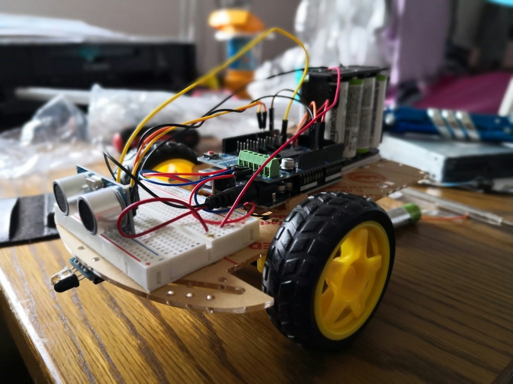 A final view at Annika